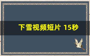 下雪视频短片 15秒真实